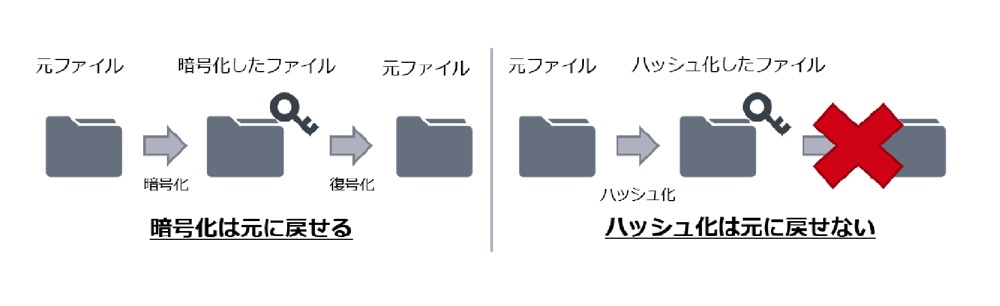 image4_web